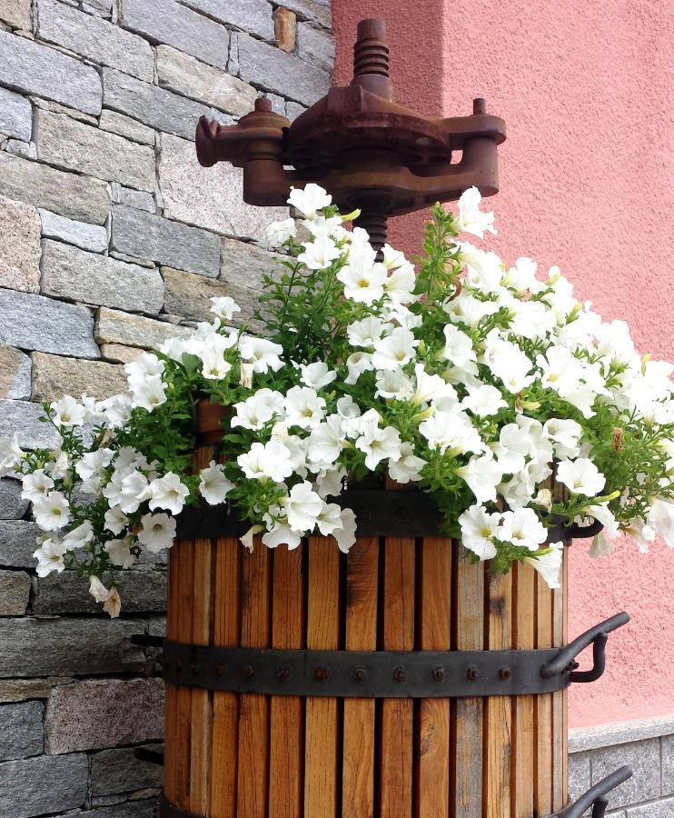 La Rosa Tra I Laghi B&B Meina Eksteriør billede